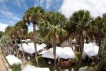 Fall Festivals in Myrtle Beach
