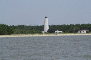 Come cruise the Winyah Bay and take home some great memories and amazing seashells.