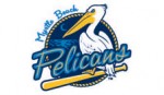 Come cheer on the Myrtle Beach Pelicans, now affiliated with the Texas Rangers.