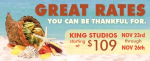 Thanksgiving gun deals