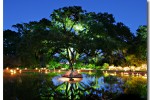Night of a 1000 candles at Brookgreen Gardens
