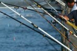 What you need to know about Pier Fishing in Myrtle Beach, SC
