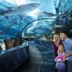 Ripley's Aquarium at Broadway at the Beach