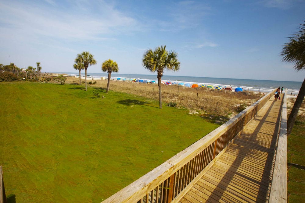 Boardwalks to the Ocean