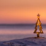 A small Christmas tree on the beach, nothing like the awesome christmas lights you'll see in Myrtle Beach.