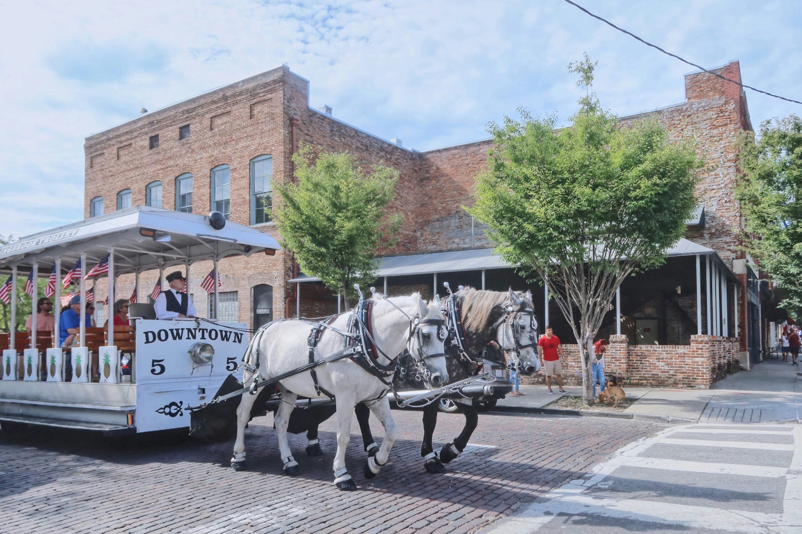 Horse carriage in historic Wilmington, North Carolina.