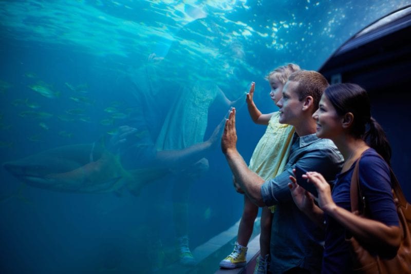 Family spending the day exploring Ripley's Aquarium