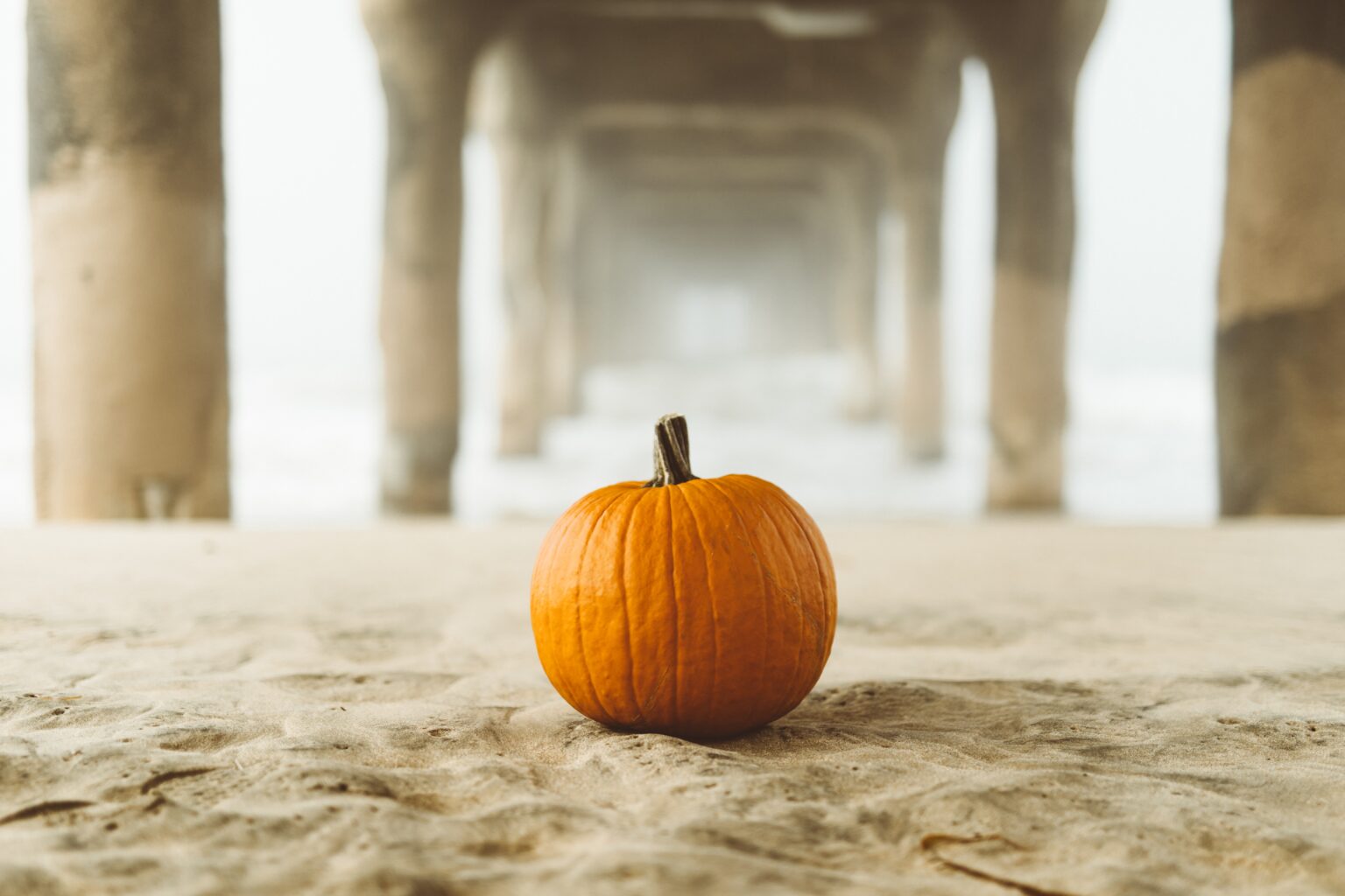 A pumpkin underneath a fishing pier on the beach.