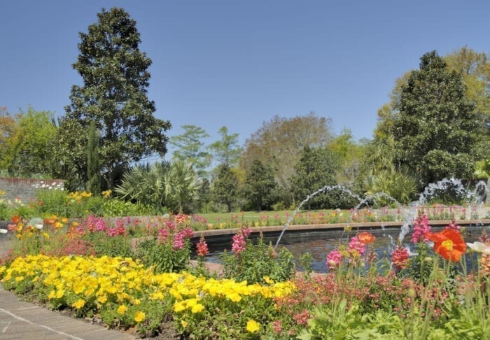 flowers and fountains at Brookgreen Gardens