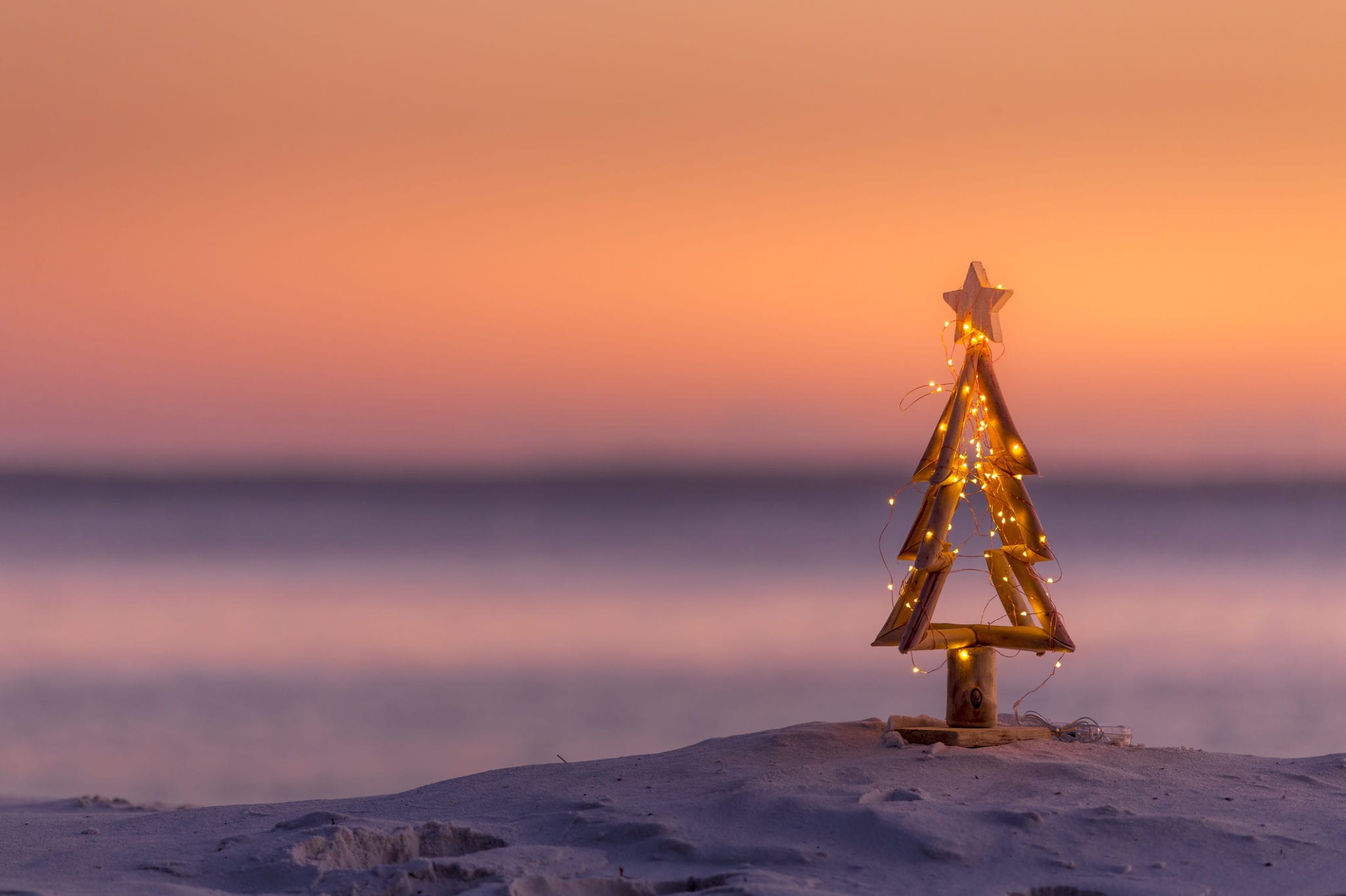 a small christmas tree on the beach, nothing like the awesome christmas lights you'll see in myrtle beach